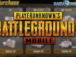 5 Cara Beli UC PUBG GOPAY Termudah 2023