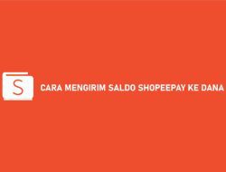 7 Cara Mengirim Saldo ShopeePay ke DANA 2023: Syarat & Admin